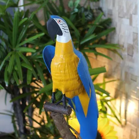 Aeroporto Star Hotel